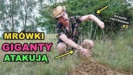 MRÓWKI GIGANTY ATAKUJĄ!   Richard Przyrodnik 2