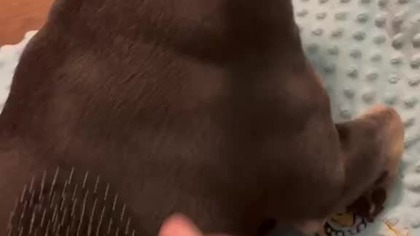 961eeda0-88e1-4c54-a5f3-e6c3043b495e