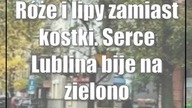 Róże i lipy zamiast kostki.  Serce Lublina bije na zielono