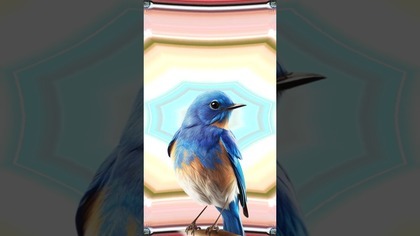 Wiosna!  #shorts #wiosna #powitanie #dc