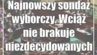 Wysłali alpinistów na drzewa.  Miasto zleciło pielęgnację cennych okazów