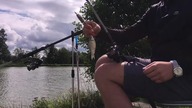 Same karasie biorą #shorts