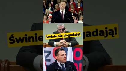 Świnie się dogadają! #polityka #Czarnek #Mentzen #Braun #Tusk #tweet #IPPTVNaŻywo