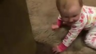 dogs and babies