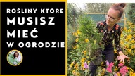 Rośliny, które musisz mieć w ogrodzie!