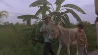 Policjanci z Miami(1986) S03E09