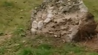 DZIUNIEK PIES MORDERCA I H...  BEZ SERCA...   