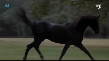 Powr&oacute;t czarnego rumaka 1983