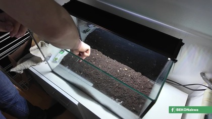 Jak szybko urządzić akwarium 70L?