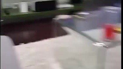 Piesek nie lubi fakersa