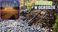 Szefowa w ogrodzie.  Zmiany zmiany zmiany! Co znowu wymyśliliśmy?
