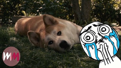 Top 10 Heartwarming Dog Stories That Will Give You the Feels