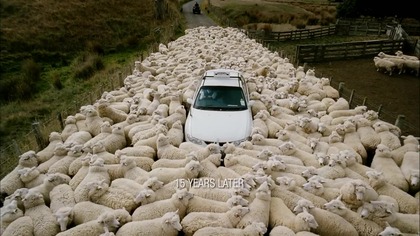 Czarna. Owca. (Black. Sheep). 2006.pl. 1080p. WEB-DL