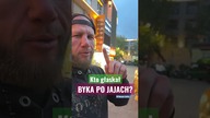 Kto głaskał BYKA po JAJACH? #shorts