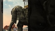 Step Into History: The First Coney Island Attractions That Shaped a Seaside Wonderland!  #history