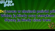 Bayer Full - Moja muzyka - z linią melodyczną ( karaoke )