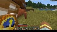 All these doors are from the same time BTW #minecraft #gaming #game #Bruh #Cooper