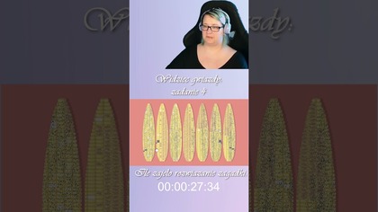  A little to the Left: Widzieć gwiazdy - zadanie 4 