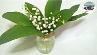 Jak zrobić oszronione wazoniki w 5 minut [FROSTED VASES in 5 minutes]-Pomysły plastyczne dla każdego