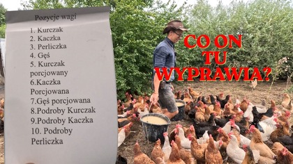 Myślałem, że już wszystko widziałem aż trafiłem tutaj / Oddaszfarucha