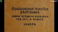 Sąsiedzi- Krzyżówka (Fokus TV)