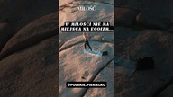 W miłości nie ma...