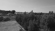 Wiskord z dachu- wspomnienia