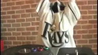 Dj Kot