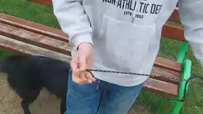 SZYMON 114 (Piotr, Wodzisław Śląski)