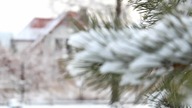 ZIMA W POLSCE 2011 - HD - Canon EOS 600D 18~55mm (ISO100)