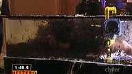 Fear Factor S04E01