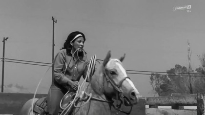 IN COLD BLOOD.  - Z zimną krwią.  (1967) lektor.