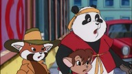 Panda i banda Odcinek 3 Hiacyntowe papugi (DUB PL)