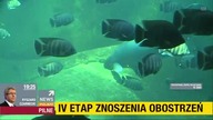 PLSTNEWS - 29-05-2020 - Ogłoszenie nadawcy, Ogłoszenie społeczne, Rekalma