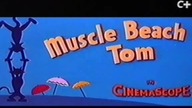 Tom i Jerry 31 (Dubbing PL)
