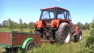 Akcja cięcie i transport słupów Ursus 1224 cz.  2