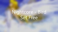 Nightcore - Bird Set Free