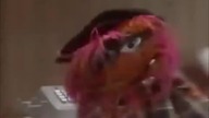 ANIMAL STARES AT THE TELEPHONE WHILE I PLAY UNFITTING MUSIC-360p