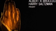 Goldfinger Theme song