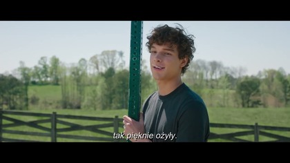 Colleen Hoover o filmie Gdyby nie Ty