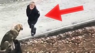 ZAUWAŻYLI CHŁOPCA I BEZDOMNE PSY, nie uwierzysz co stało się później...