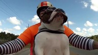 Respekt wobec innych motocyklist&oacute;w, tak go wychowano