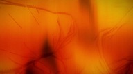 Wh4t If...  ? S01E05 PL
