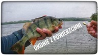 OKONIE Z POWIERZCHNI // waliły w poppera jak wściekłe // 2023