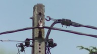 Kamera JVC GZ-E305 HD test zoom-u