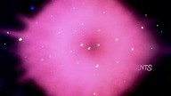 Rozowa Pantera 122 - Doctor Pink