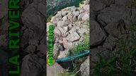 Elektrownia Połaniec - Vistula River #shorts