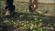 Życie wymyka się spod kontroli.  Dokument