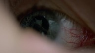 The Open House (2018) Lektor PL
