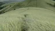 Na początku ludzie potrafią to doceniać  to, że pamiętasz, że pomagasz, że odzywasz się pierwszy